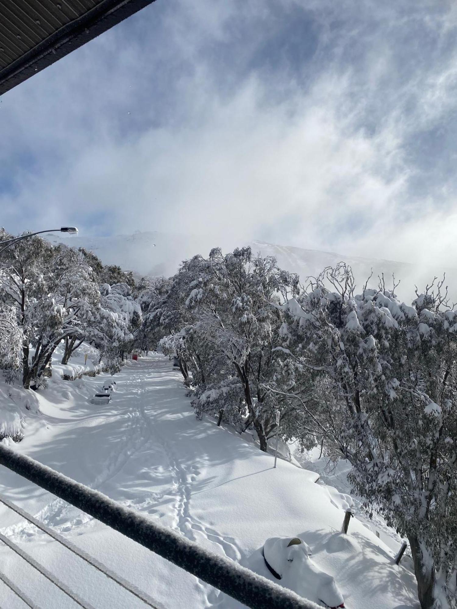 Alpine Woodsmoke Apartments Falls Creek Buitenkant foto
